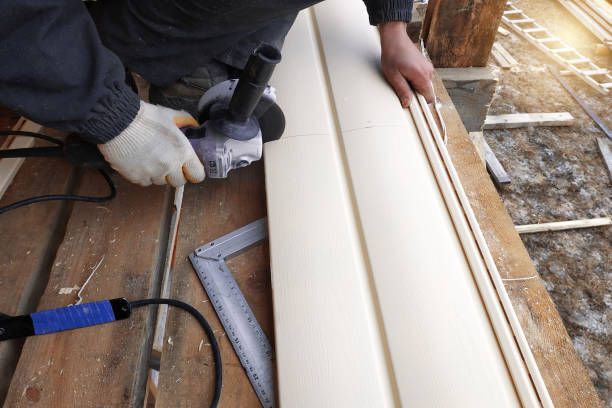 Best Vinyl Siding Installation  in Conrad, IA